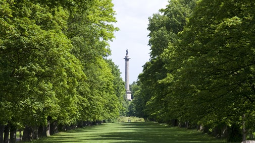 View down the Long Walk towards the Column to Liberty rising 140 feet above the estate at Gibside, Newcastle upon Tyne View down the Long Walk towards the Column to Liberty rising 140 feet above the estate at Gibside, Newcastle upon Tyne